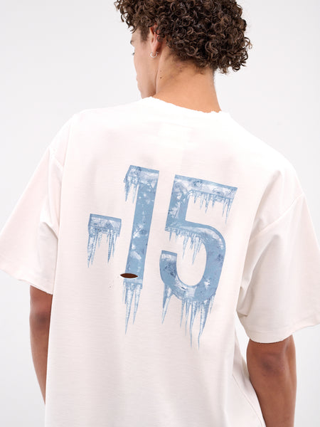 CELFORD グログランTシャツ　超美品 37CS377-WHITE119601429_grande.