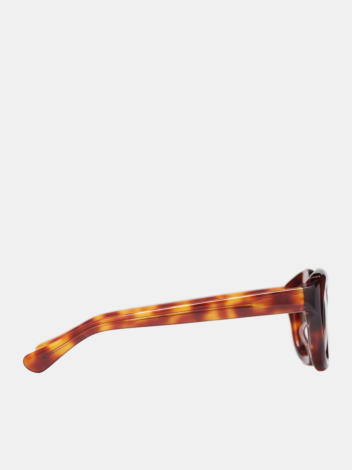 Hook Sunglasses (HOOK-ORANGE-TORTSHELL-BROWN4)