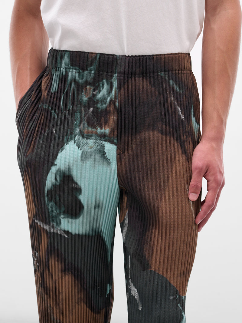 Brown Agate Pleated Trousers (HP58JF207-44-BROWN)