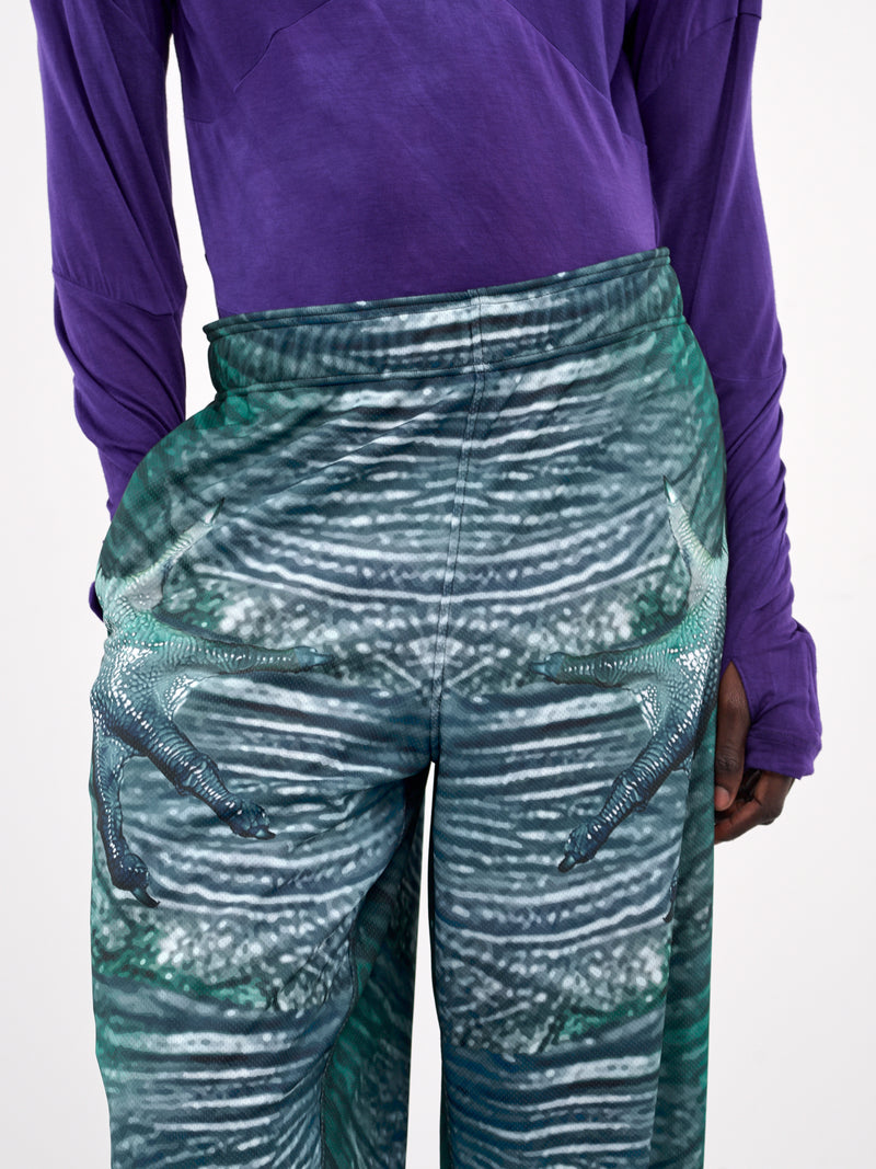 Morphosis Pants (K-PANT-MORPHOSIS-MULTI)