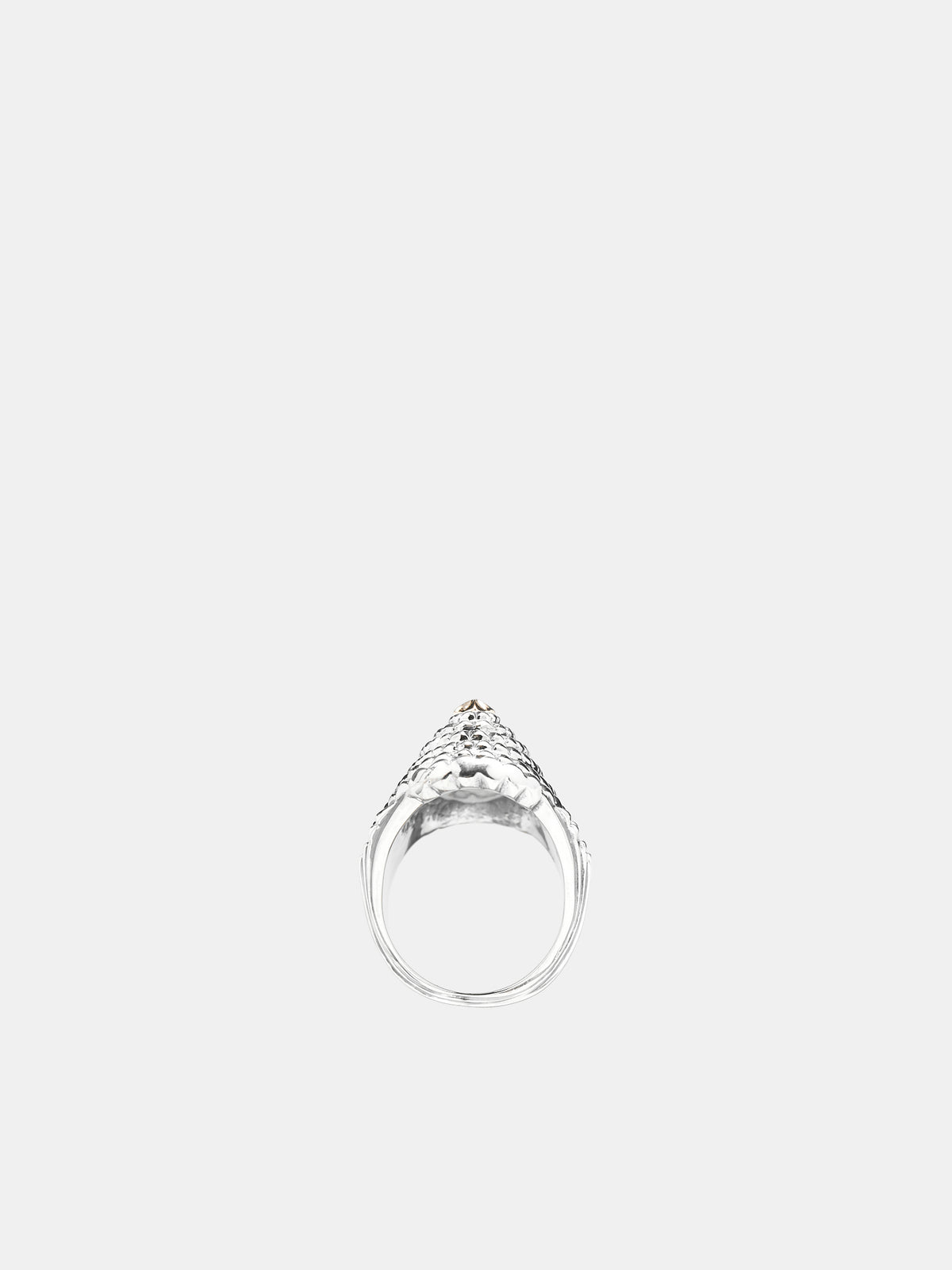 Ripple Ring (NI-R009-SILVER-GOLD)