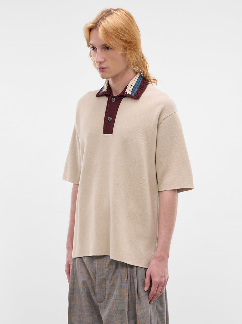 Beige Wool-Cotton Knit Polo (WQ-N011-S26-BEIGE)