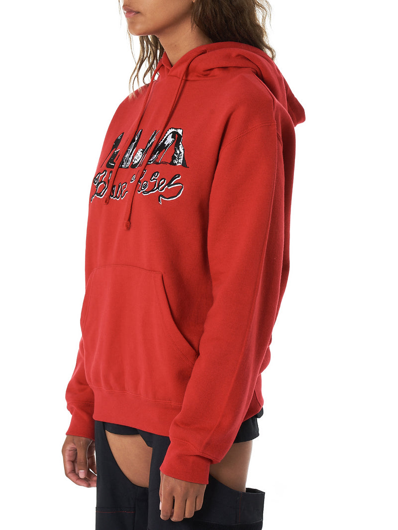 Blue Roses Hoodie - Hlorenzo Side