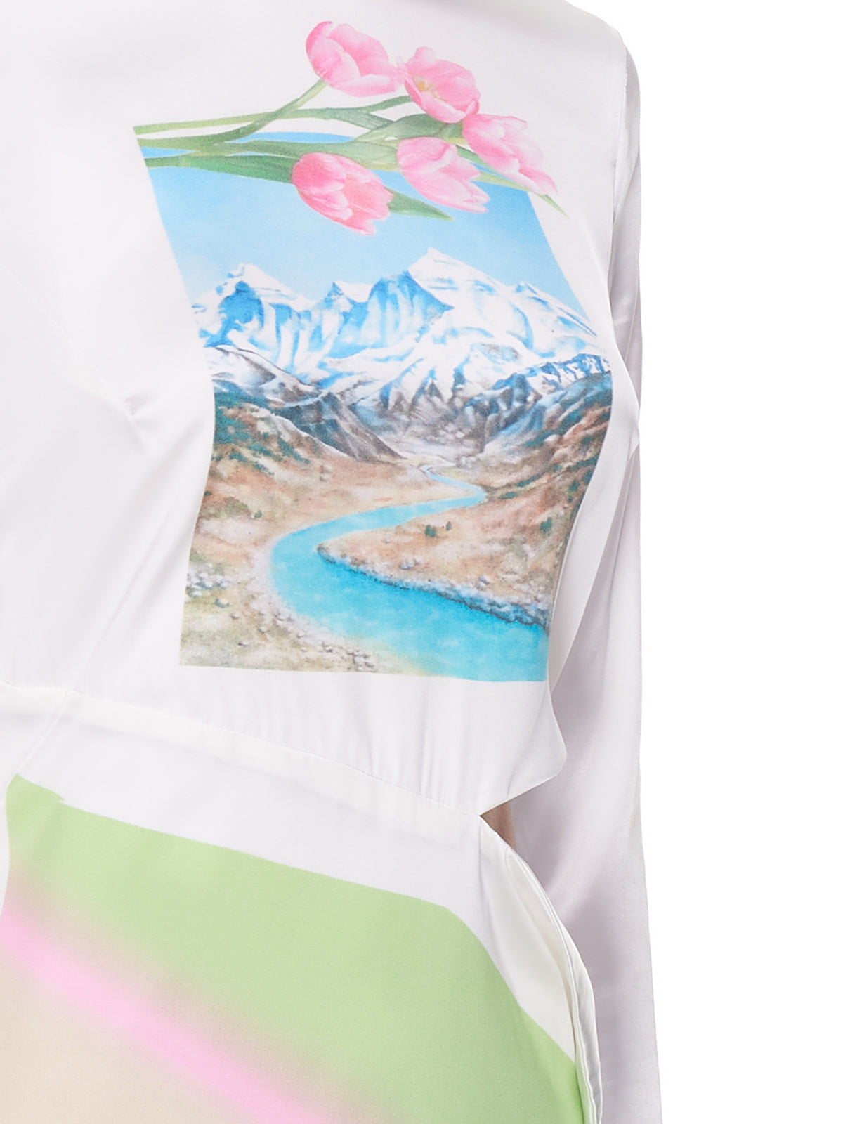 Maisie Wilen Alpine Peel Dress | H. Lorenzo - detail 2