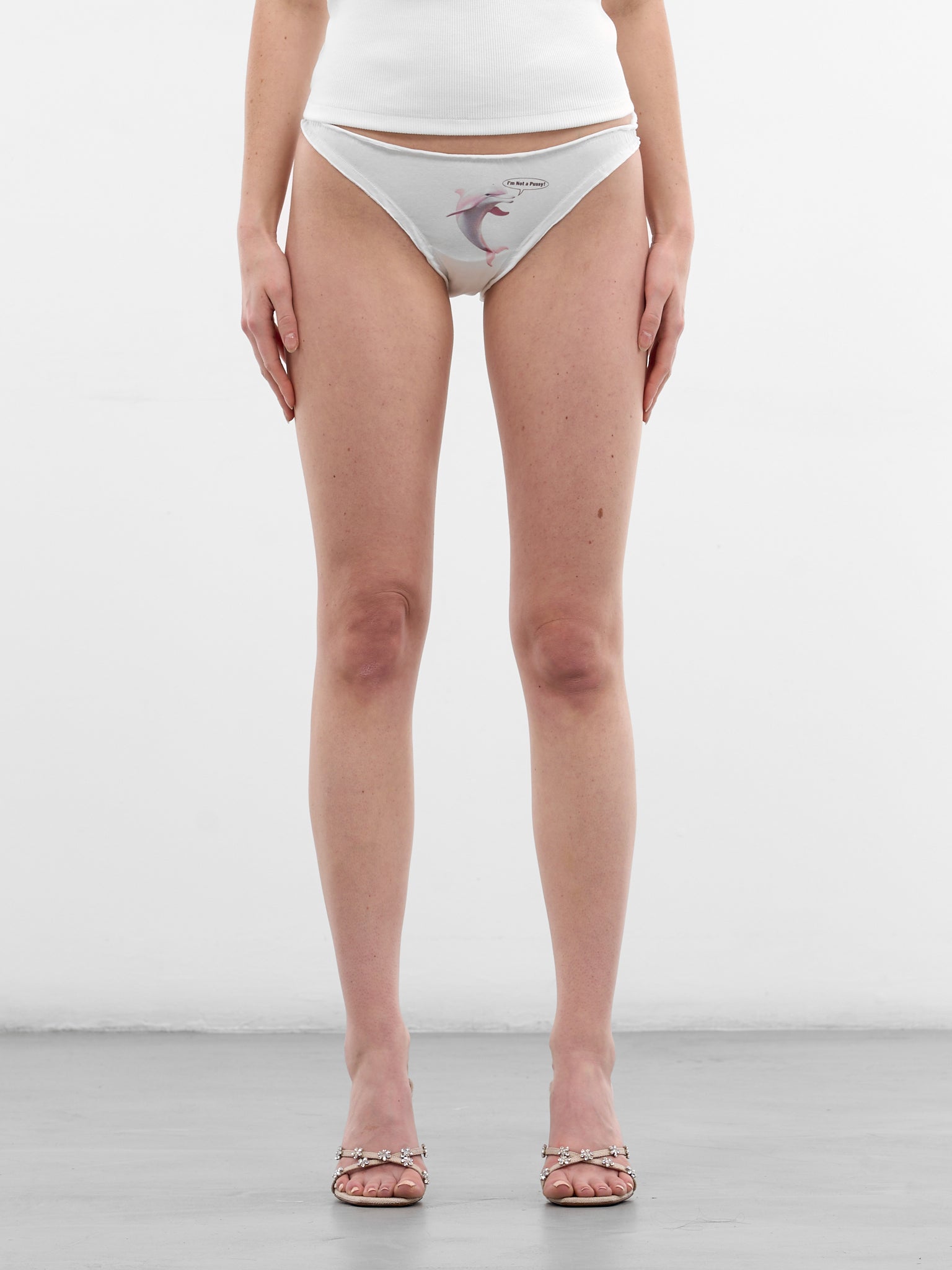 White Dolphin Graphic Cotton Briefs (2D022A-N0103-NATURAL-WHITE)