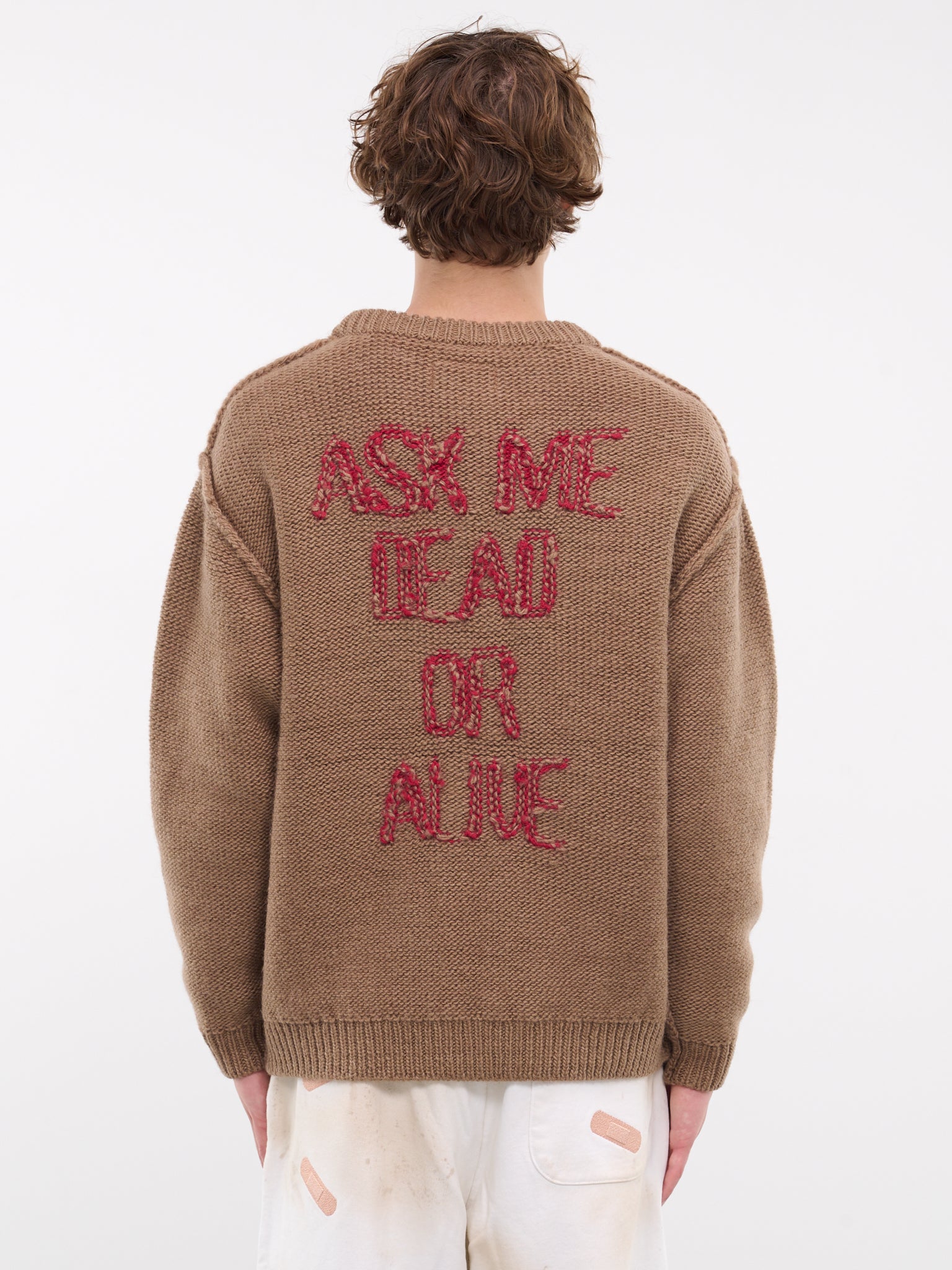 DOUBLET Graphic Embroidered Sweater | H.Lorenzo - back