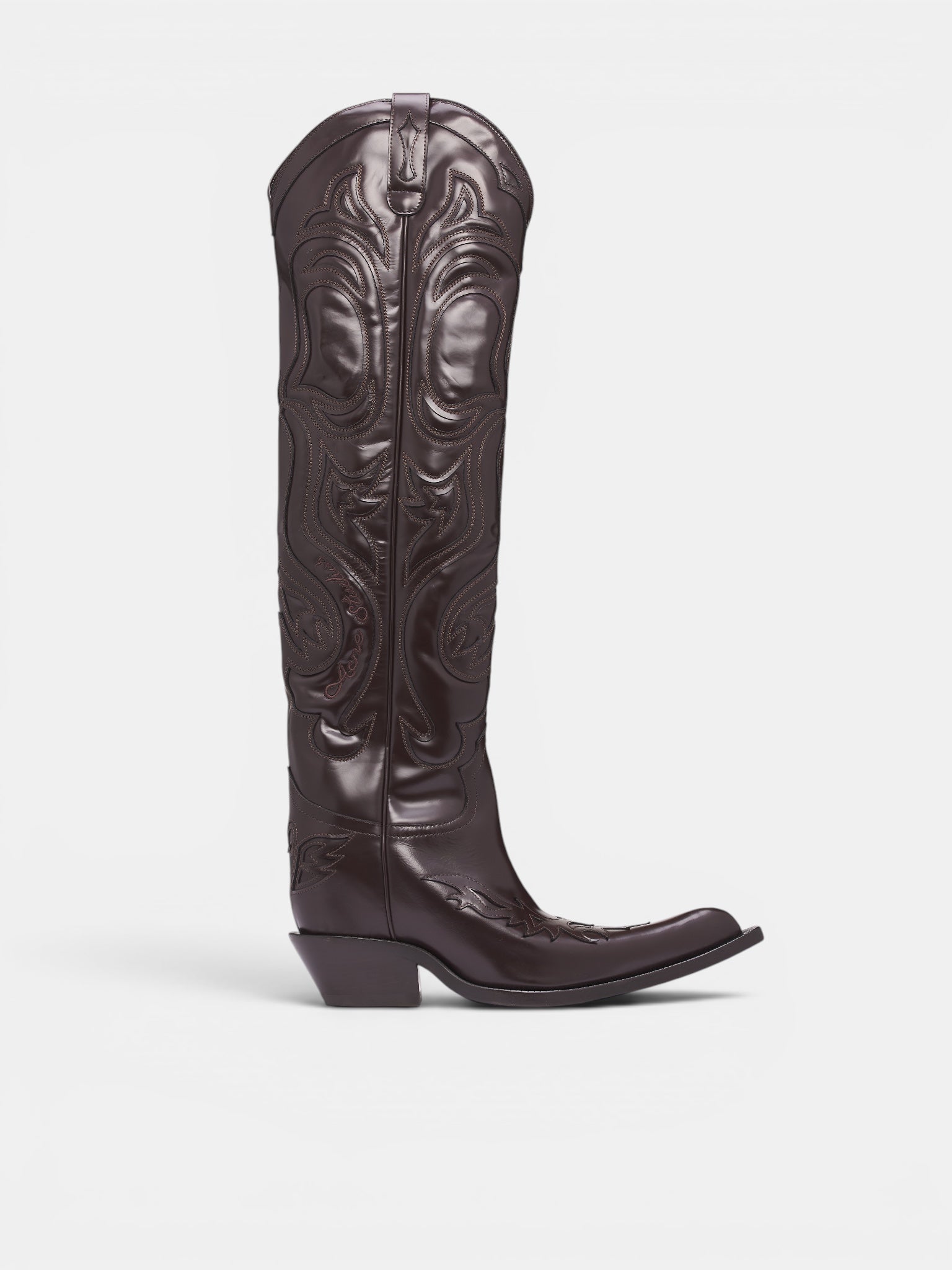 Brown Leather High Cowboy Boots (AC-WN-SHOE000038-BROWN)