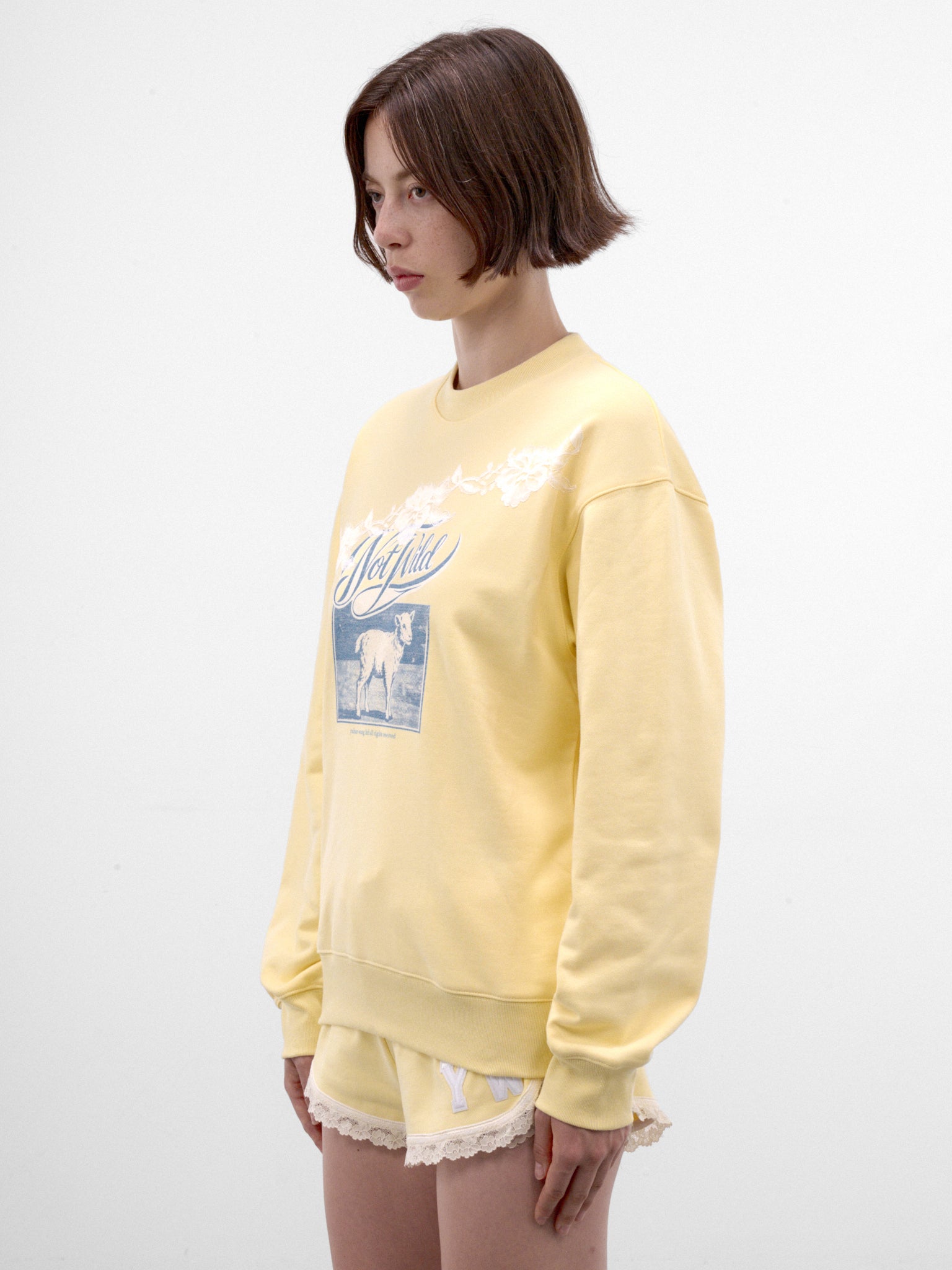 Not Wild Sheep Graphic Sweater (AW2600T30-BUTTER-YELLOW)