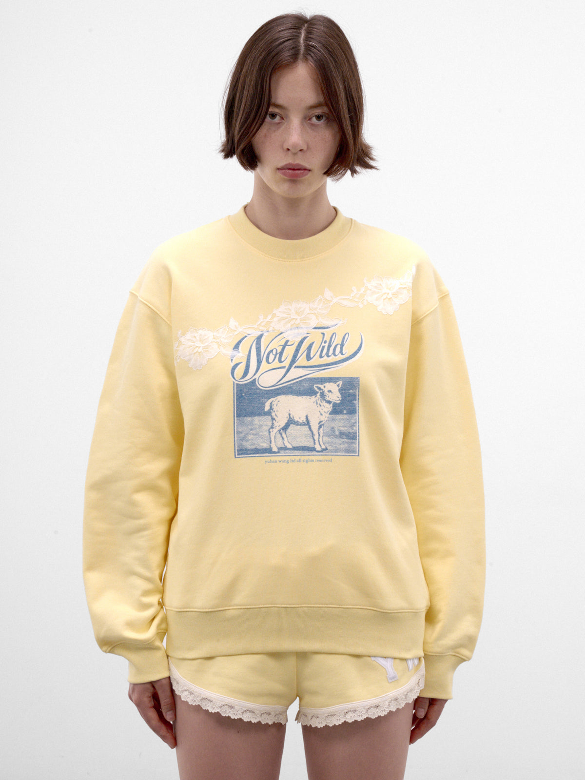 Not Wild Sheep Graphic Sweater (AW2600T30-BUTTER-YELLOW)