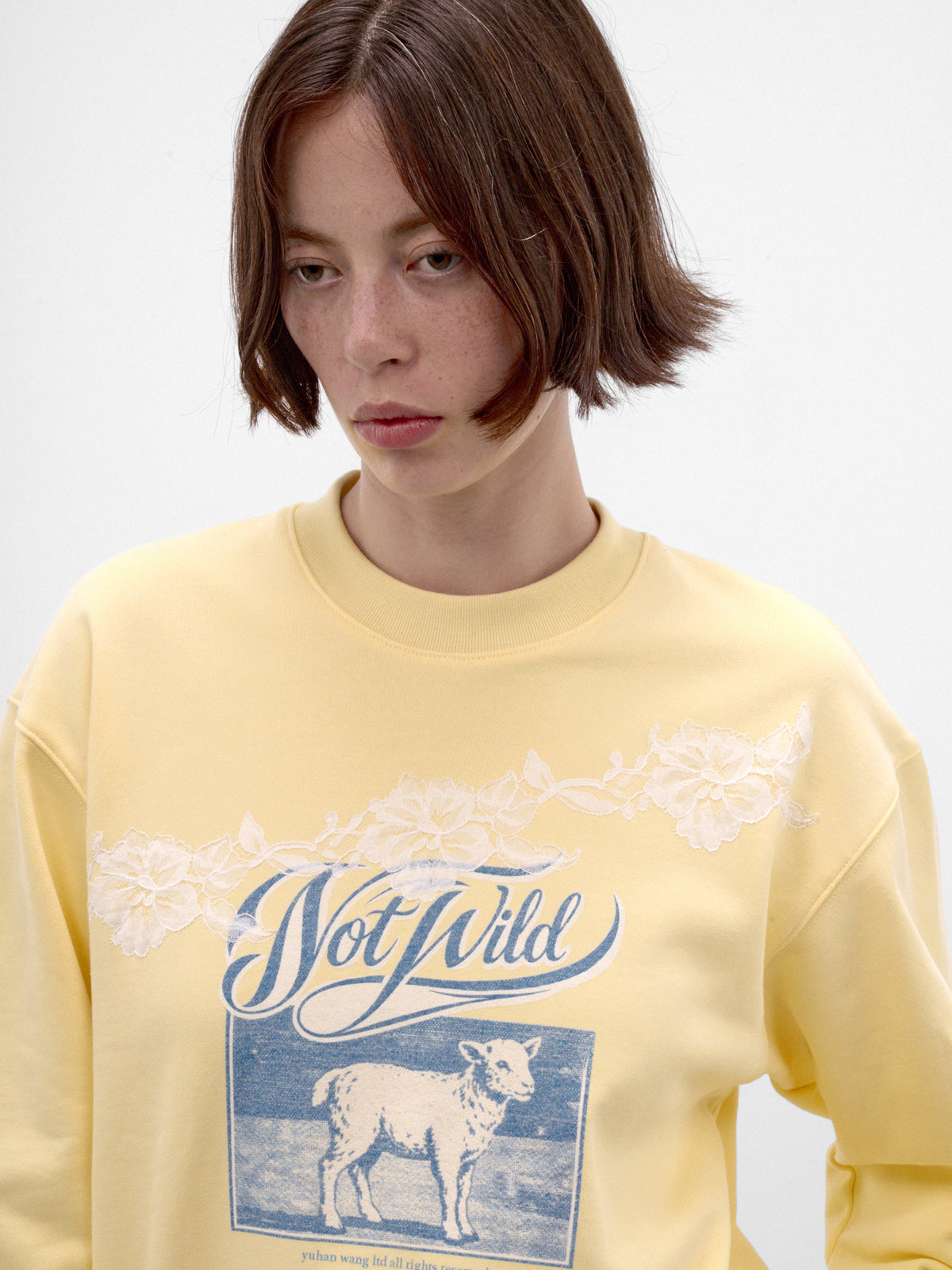 Not Wild Sheep Graphic Sweater (AW2600T30-BUTTER-YELLOW)