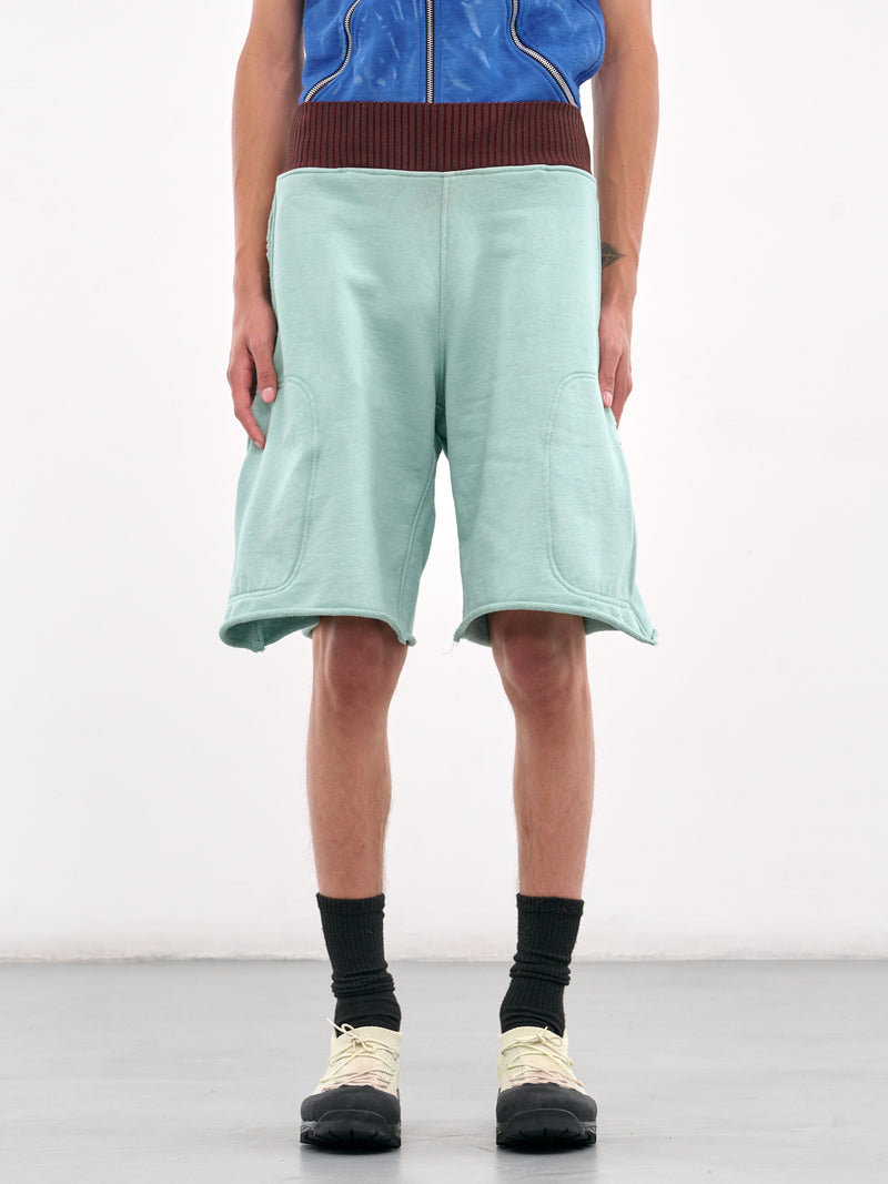 Fleece Shorts (CCS4-TRS-MULITPOSCHRTJ-TURQUOI)
