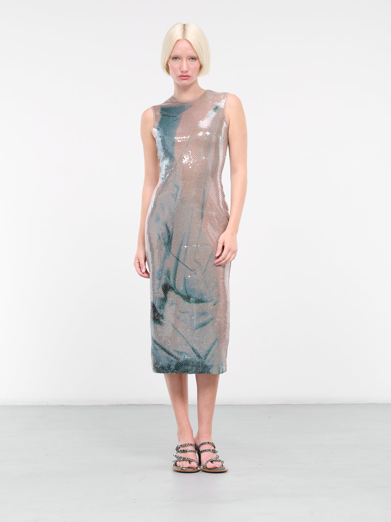 Aveo Midi Dress (D-375-BLUE-PRINT-FOG)