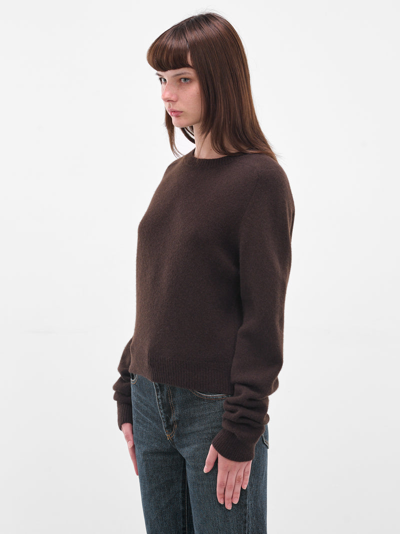 Brown Cashmere Bad Romance Sweater (F25K4-BAD-ROMANCE-EBONY-WOOD)