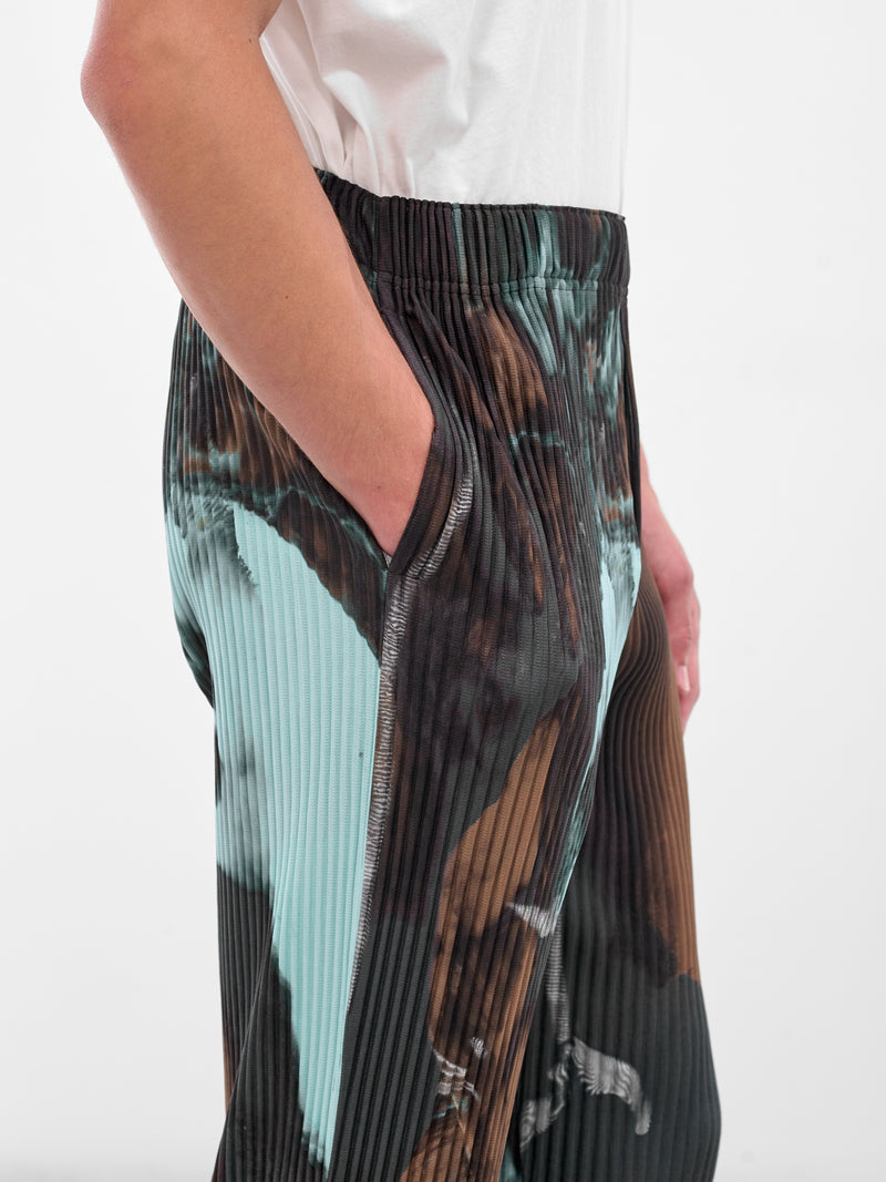 Brown Agate Pleated Trousers (HP58JF207-44-BROWN)