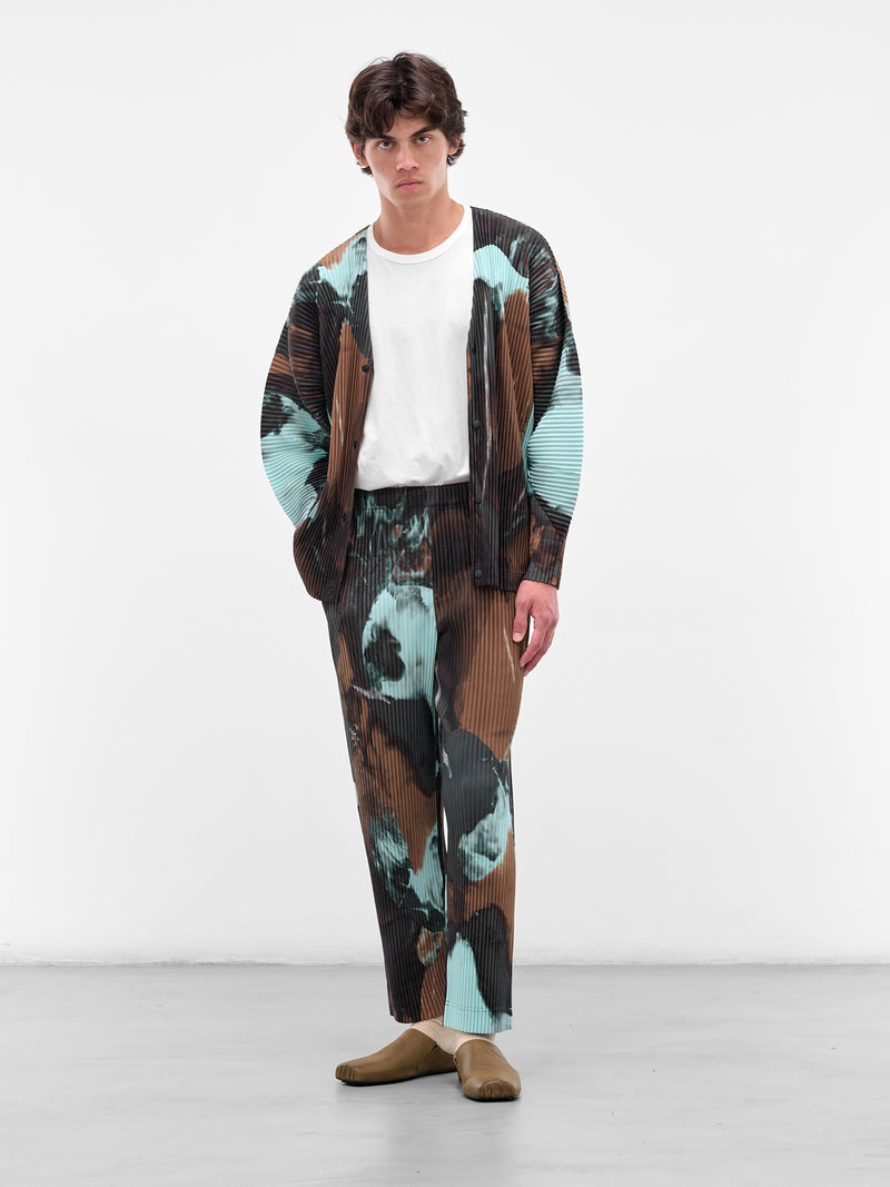 Brown Agate Pleated Trousers (HP58JF207-44-BROWN)