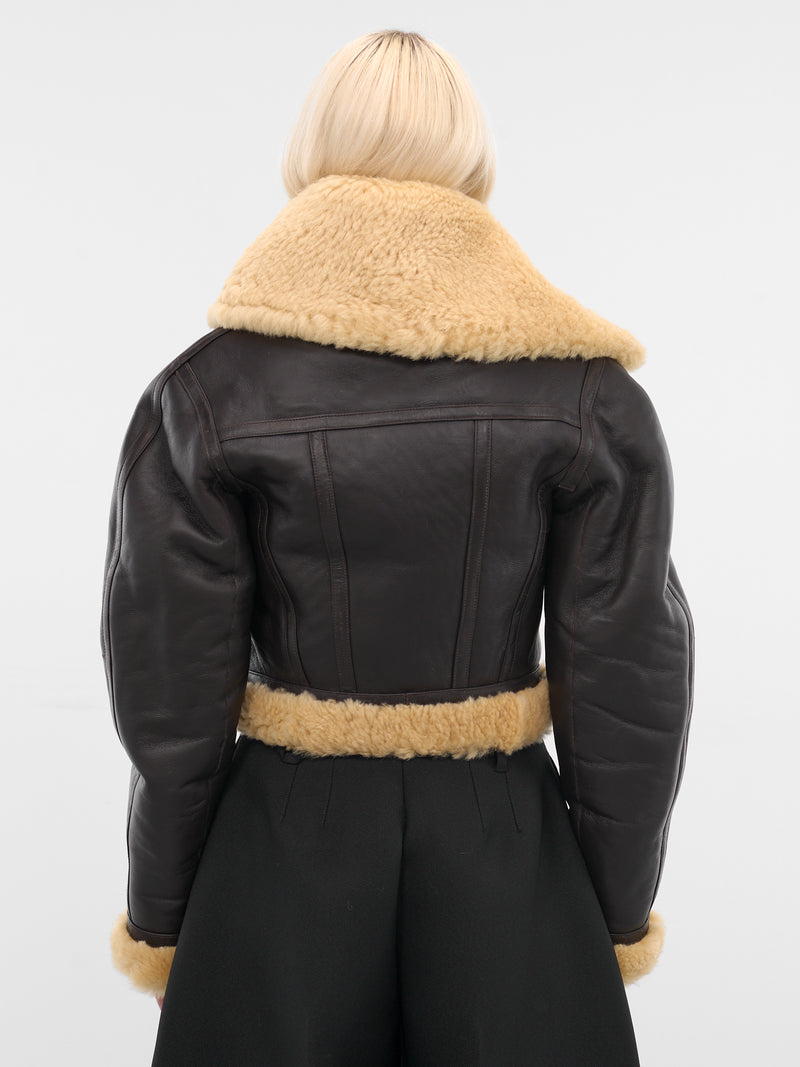 Brown Leather Aviator Cropped Jacket (OUW00119AC16L05-DARK-BROWN)