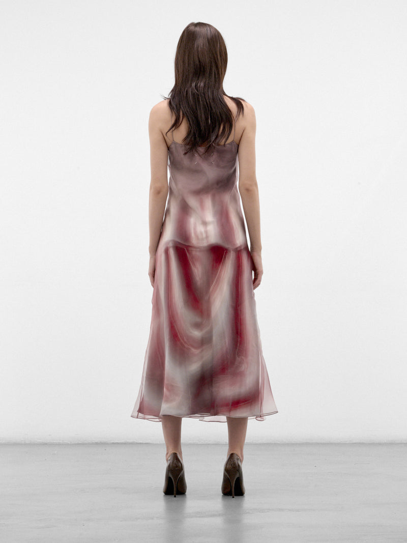Multicolor Sheer Organza Midi Dress (S29DD0094-M36187-MULTI)