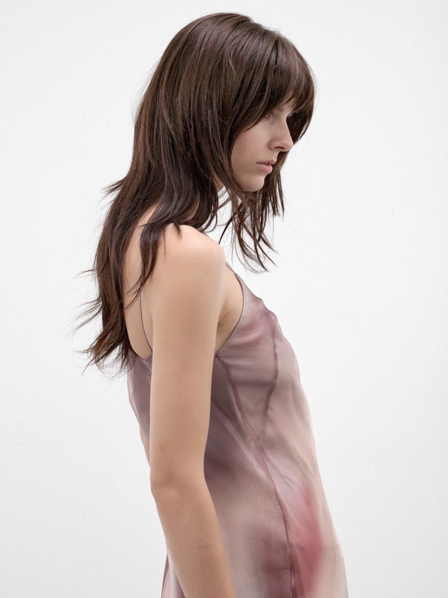 Multicolor Sheer Organza Midi Dress (S29DD0094-M36187-MULTI)