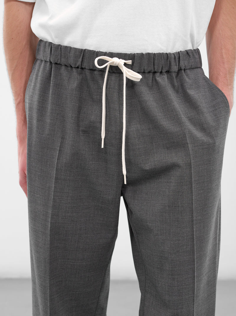 Gray Wool Elasticated Trousers (SH0KA0028-M35733-860M-GRAY)
