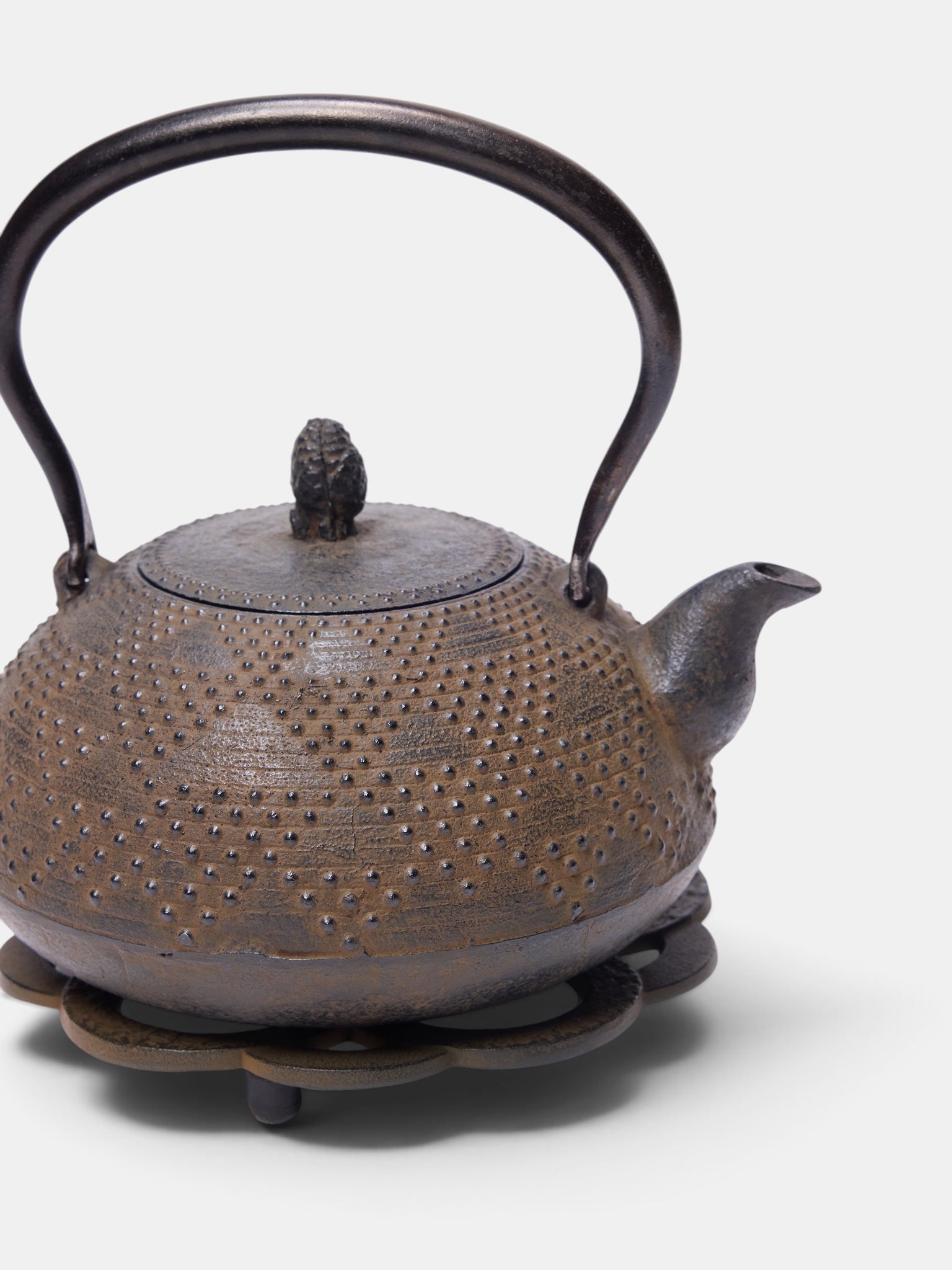 Vintage Iron Tea Kettle (TEA-KETTEL-IRON)