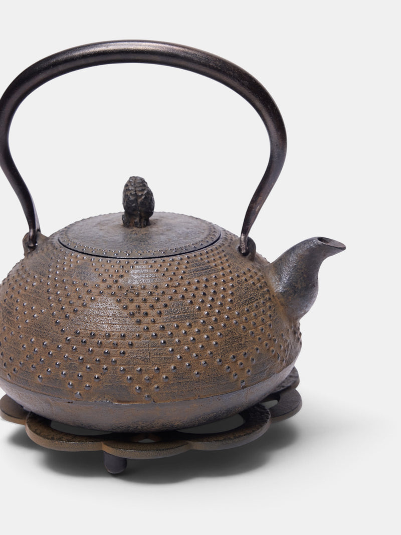 Vintage Iron Tea Kettle (TEA-KETTEL-IRON)
