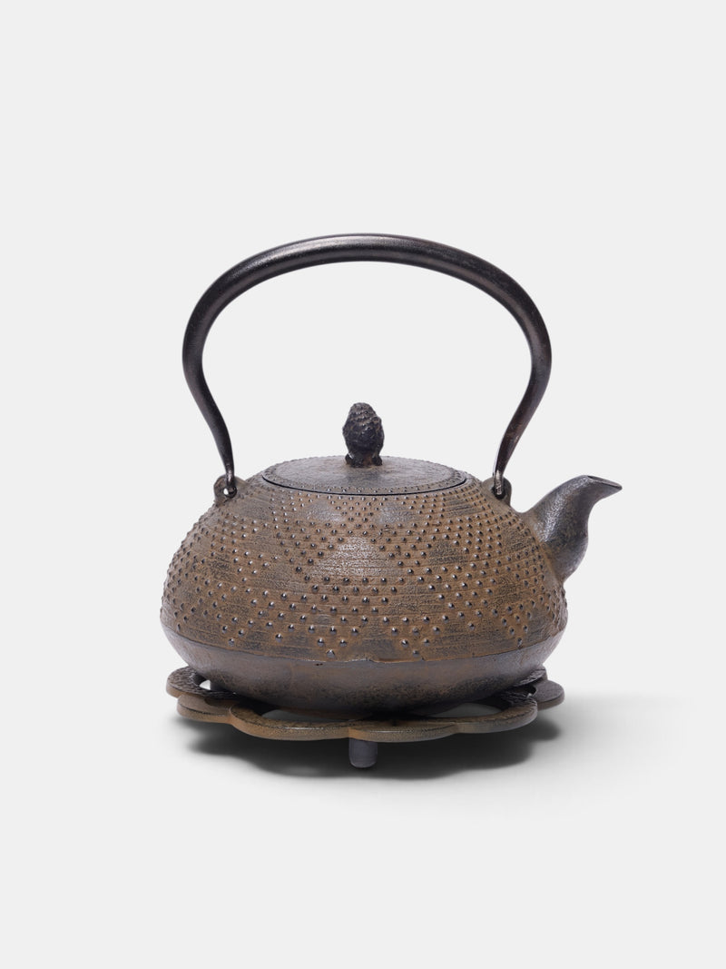 Vintage Iron Tea Kettle (TEA-KETTEL-IRON)