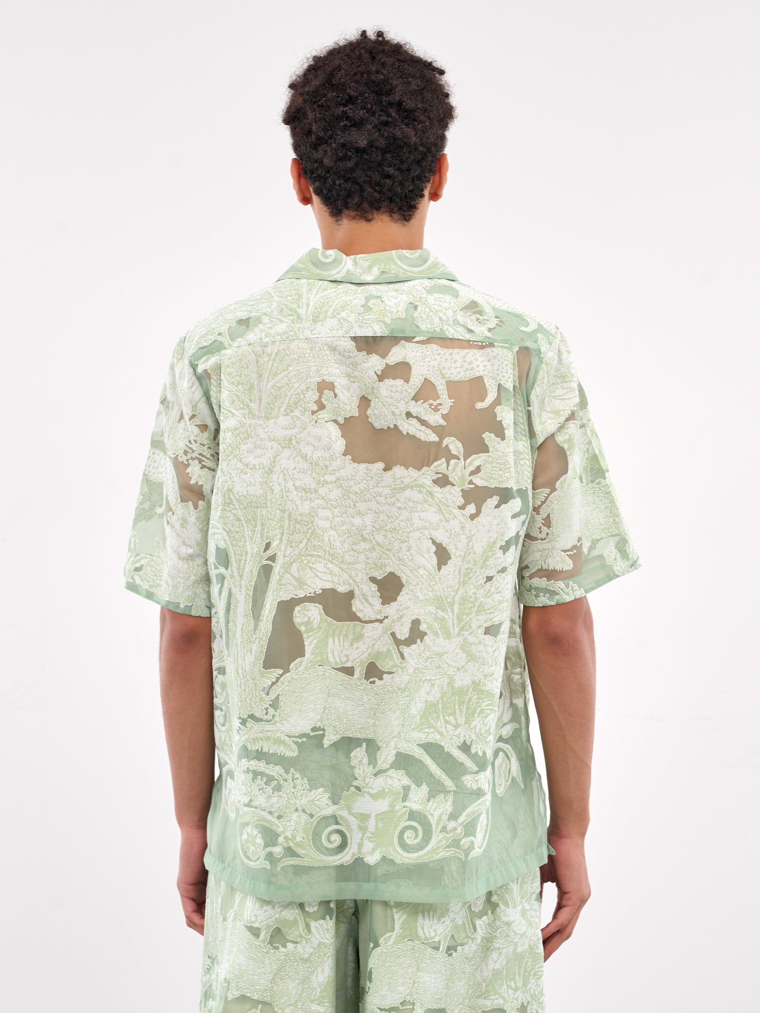Sheer Patterned Shirt (TA25SS-SH036-GREEN)