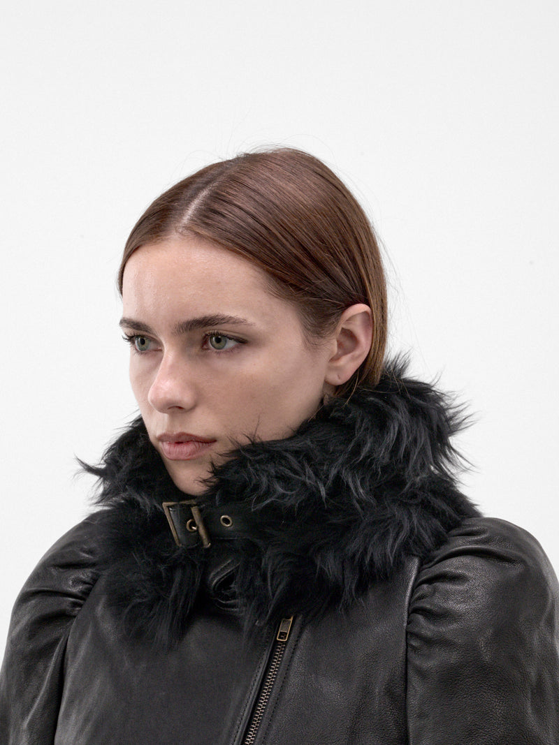 Black Shearling Lamb Leather Collar (VICO0BLK-BLACK)