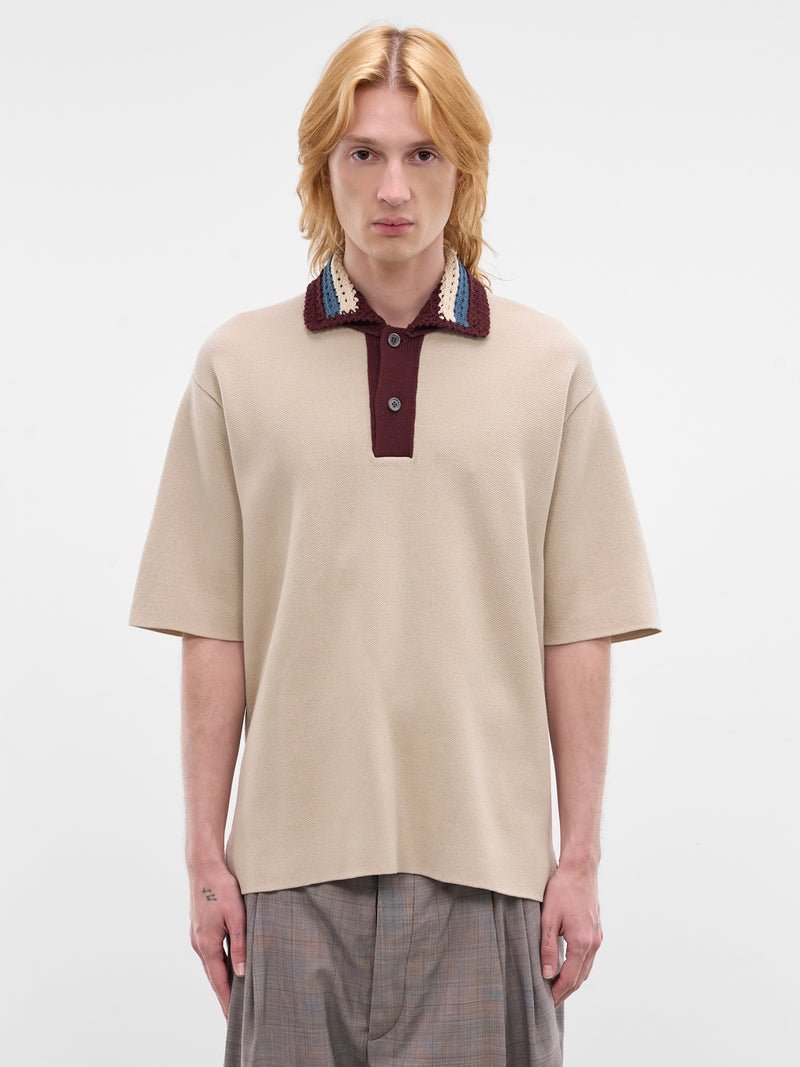 Beige Wool-Cotton Knit Polo (WQ-N011-S26-BEIGE)