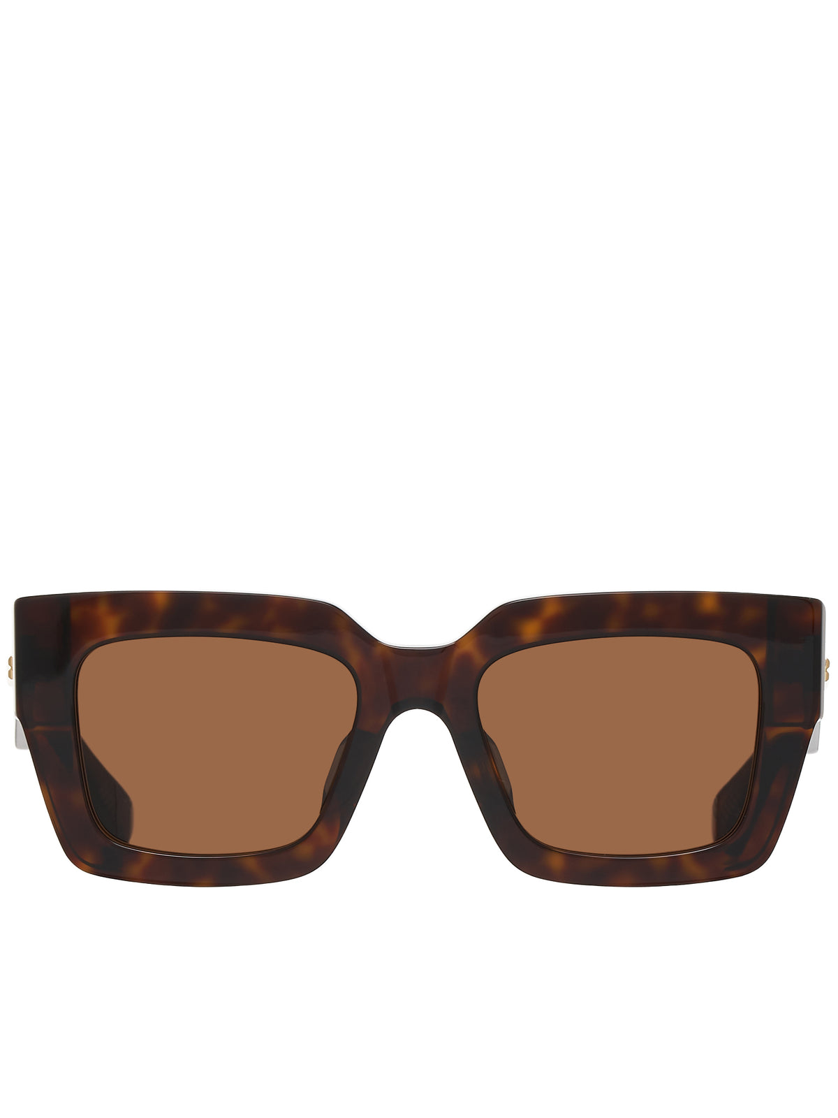 Square Sunglasses (734056V2Q30-2819-HAVANA-HAVANA)