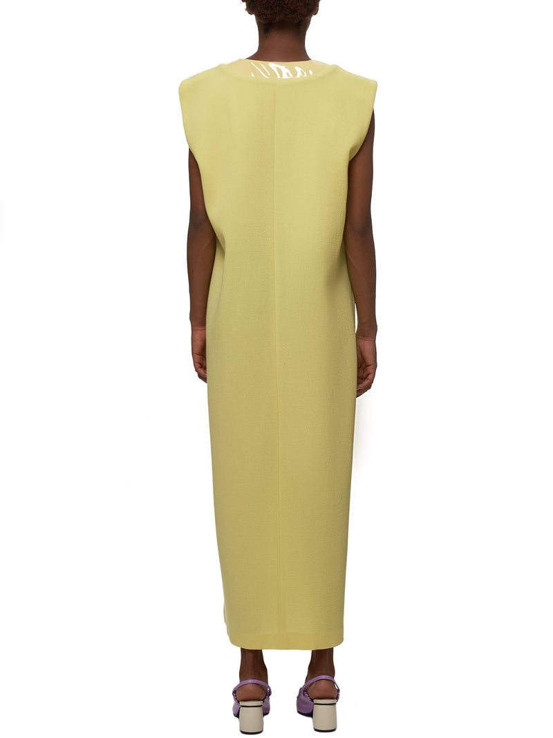 Rowen Rose Dress - Hlorenzo Back